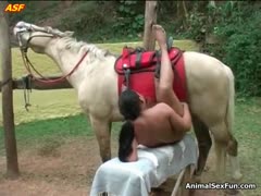 A curvaceous Latina girl engages in sultry outdoor sex with her horse.